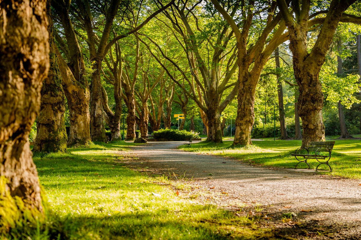 Choa Chu Kang Park path